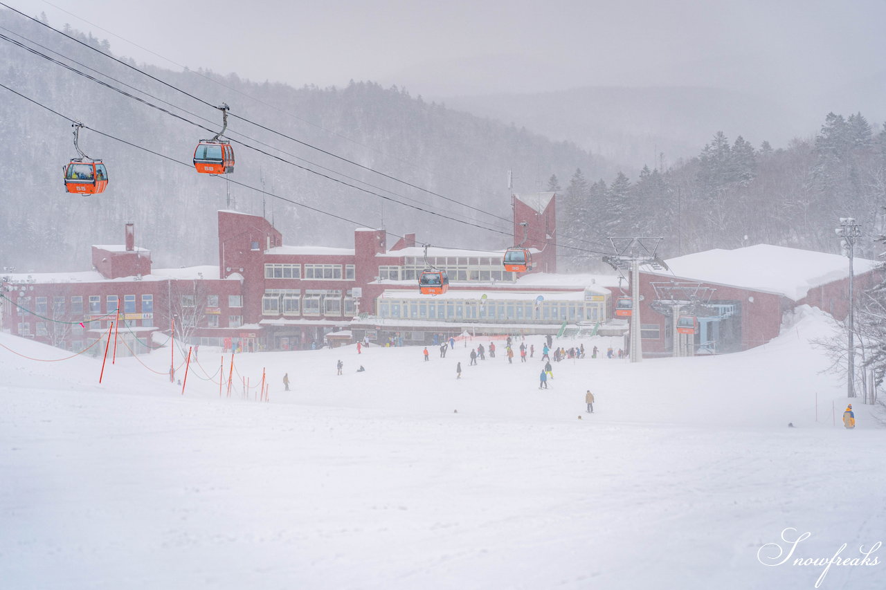 札幌国際スキー場　街は雨でも、山は雪！広々ゲレンデに思う存分シュプールを描こう(^^)/